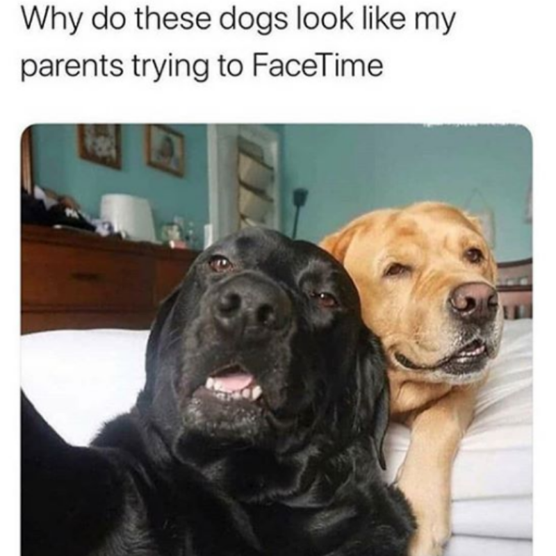 facetime
