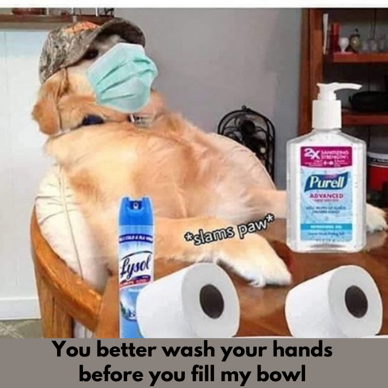 hygiene