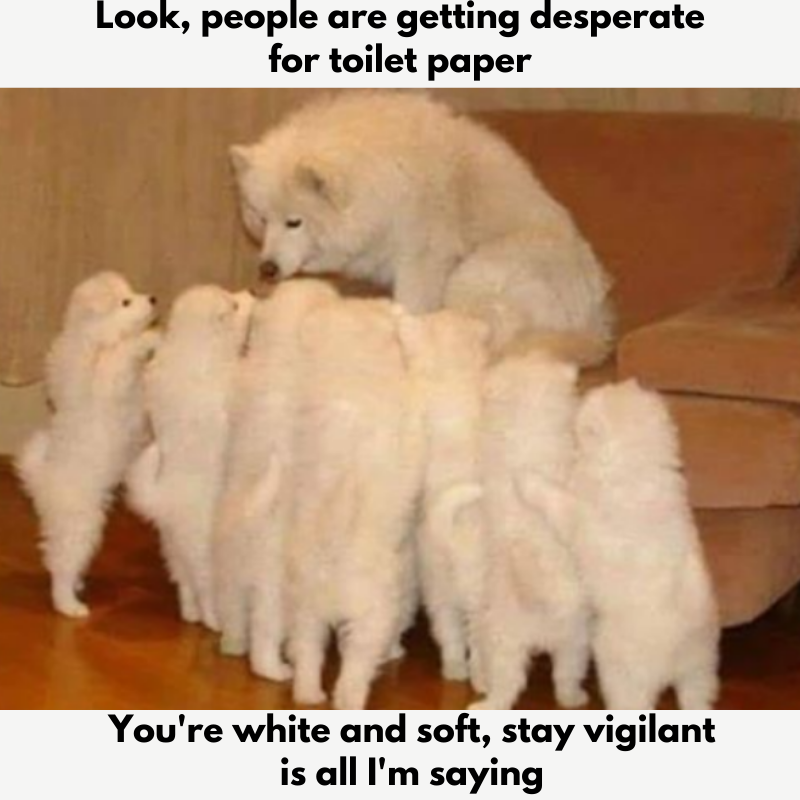 toiletpaper