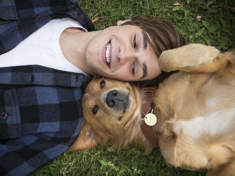 A Dogs purpose
