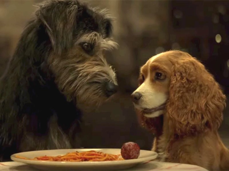 Lady & The Tramp