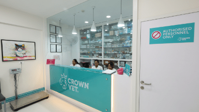 Pharmacy