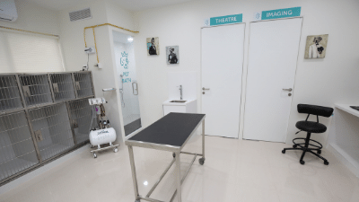Patient Care