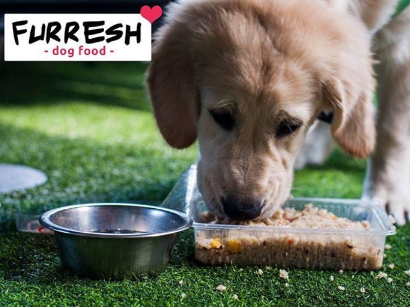 Furresh