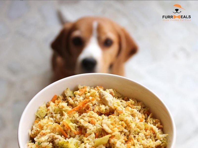 Furmeals
