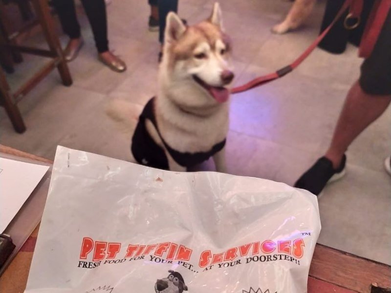 Pet Tiffin Services