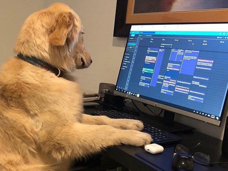 Busy