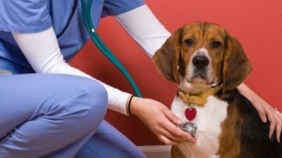 Increases Treatment Options